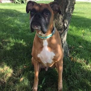 Meet your Posher, Shelley